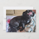 Buscar lenguas postales Adorable