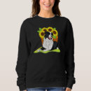 Buscar dueños collares Collie