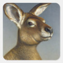 Buscar kangaroo pegatinas Vida silvestre