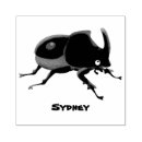 Buscar escarabajo manualidades Entomología