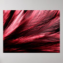 Buscar plumas rojas posters Abstracto