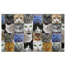 Buscar mascotas telas Gatitos
