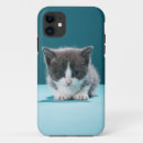 Buscar gato nacional iphone fundas Vertical