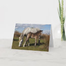 Buscar folios tarjetas Caballo