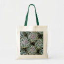 Buscar planta bolsos Para ella