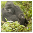 Buscar mcdonald azulejos Rwanda