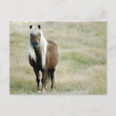 Buscar caballos rubios postales País