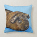 Buscar conejillo de indias cojines Guinea