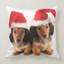 Buscar perritos del navidad cojines Animal