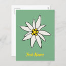 Buscar edelweiss postales Alpes