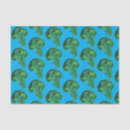 Buscar papel de seda Colorido