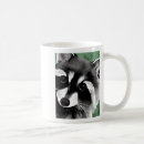 Buscar mapache tazas Fauna
