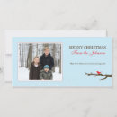Buscar aves fotograficas tarjetas Nieve