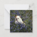 Buscar no inglés tarjetas nota Bulldog