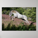 Buscar fantasy horse arte Flowers