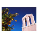 Buscar griego posters Colorido