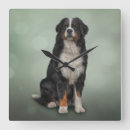 Buscar clipart relojes de pared Animales
