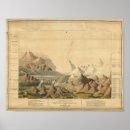 Buscar ríos del mundo posters Alturas