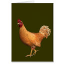 Buscar cock postales Pájaro