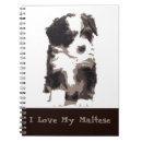 Buscar perro maltés libretas Perrito