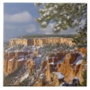 Buscar pino azulejos Galería jaynes