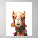Buscar camello posters Animales