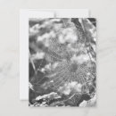 Buscar telaraña postales Fotografía