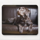 Buscar labrador retriever alfombrillas de raton Horizontal