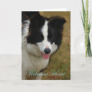 Buscar bienvenida mascotas tarjetas Gato