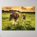 Buscar productos posters Naturaleza