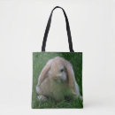 Buscar wabbit Conejito