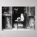 Buscar cats arte Blanco y negro