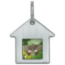 Buscar mariposa collares Hermoso