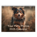 Buscar mascota calendarios Gatito