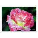 Buscar rosey Rosa