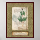 Buscar manuscrito medieval posters Manuscritos