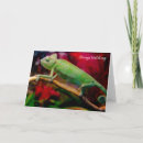 Buscar camaleón tarjetas Lagarto