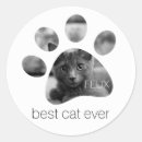 Buscar pawprint pegatinas Gato