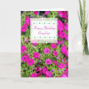 Buscar petunia blanca tarjetas Para ella