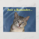 Buscar dura postales Para todos