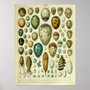 Buscar cosquillas posters Ilustracion