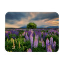 Buscar tekapo imanes Paisaje
