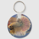 Buscar betta llaveros Pez