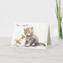 Buscar salsa tarjetas General y unisex