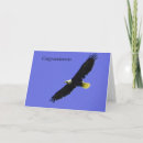 Buscar realización tarjetas Promoción