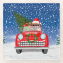 Buscar autobuses posavasos General y unisex