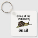 Buscar caracol llaveros Divertido