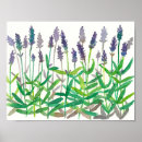 Buscar lavanda arte General y unisex