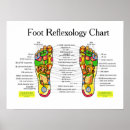 Buscar artes gráficos posters Anatomía