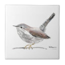 Buscar birds azulejos Animales